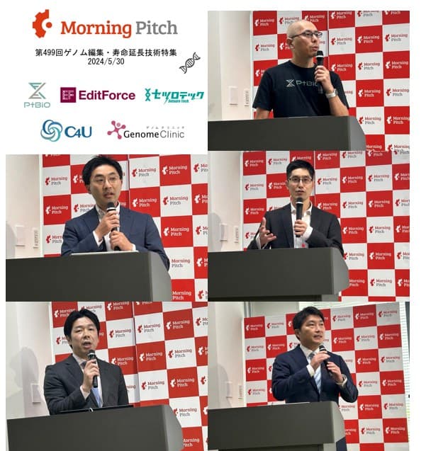 紹介する5社