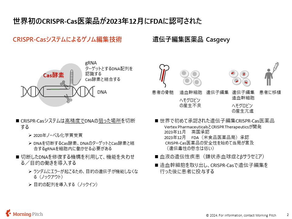 CRISPR-Cas9システム