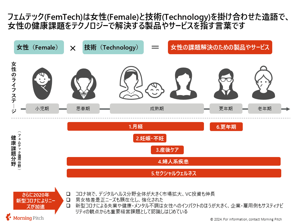 フェムテック市場の概要